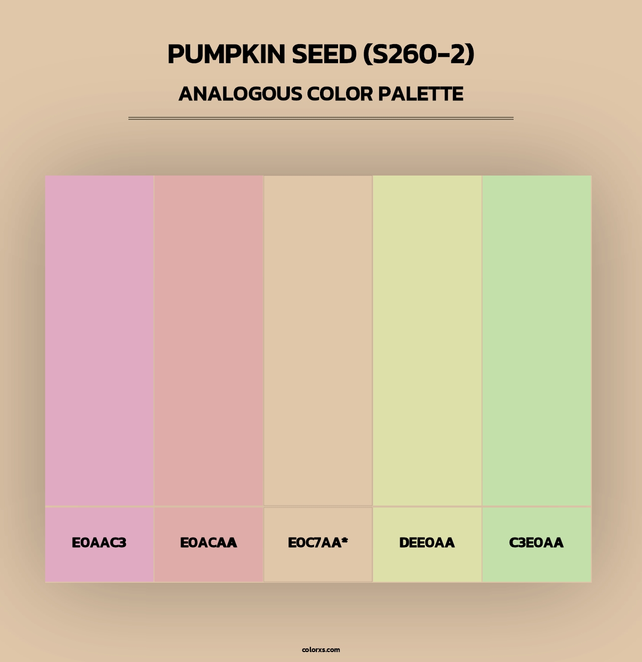 Pumpkin Seed (S260-2) - Analogous Color Palette