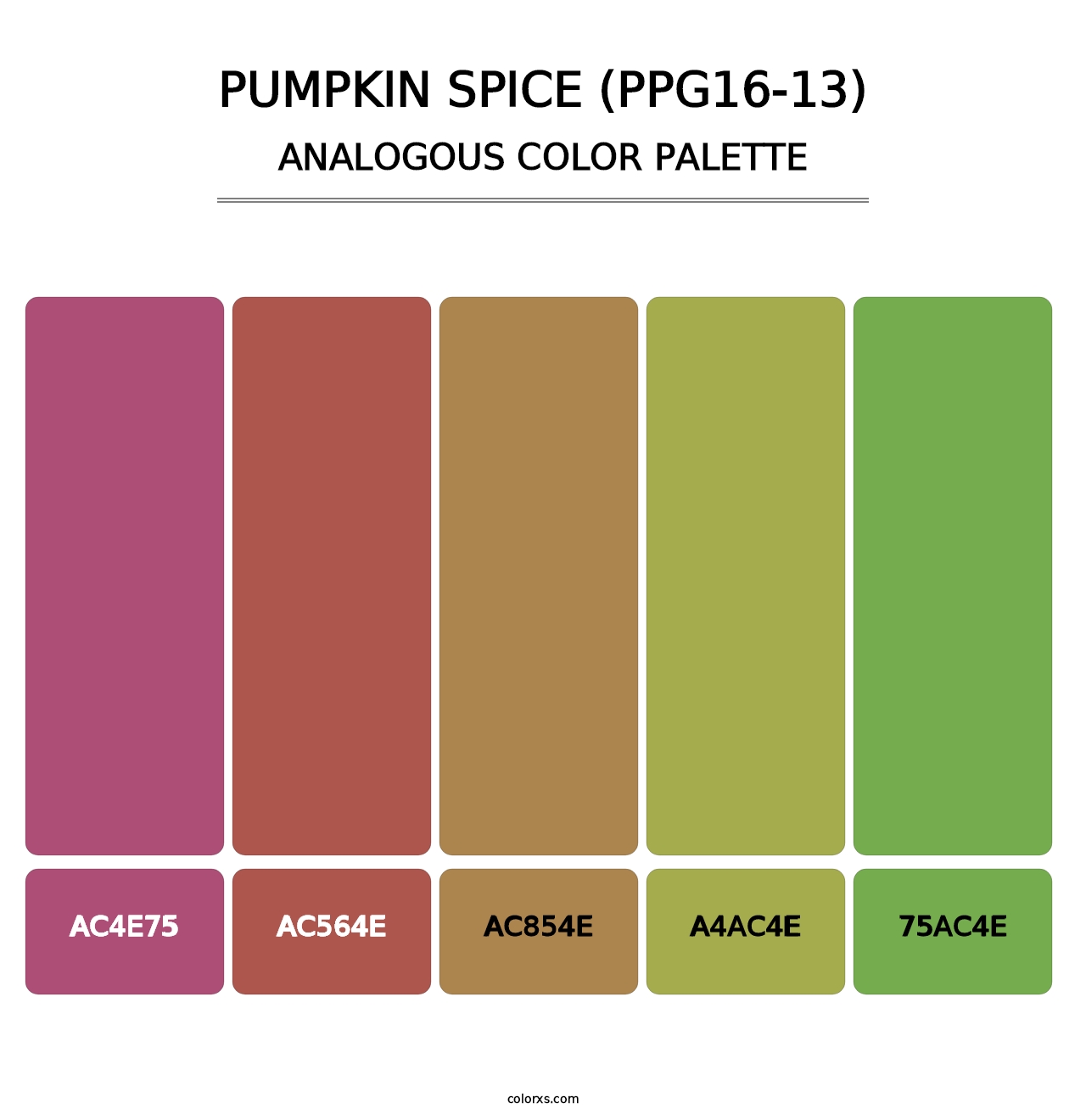 Pumpkin Spice (PPG16-13) - Analogous Color Palette