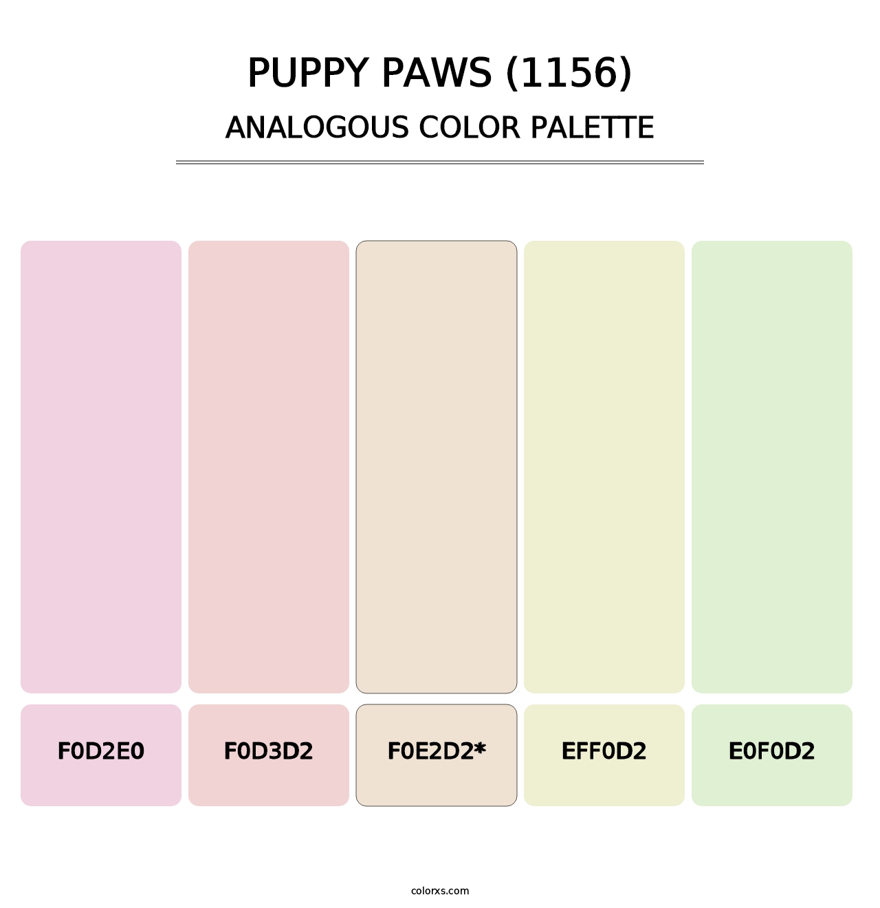 Puppy Paws (1156) - Analogous Color Palette