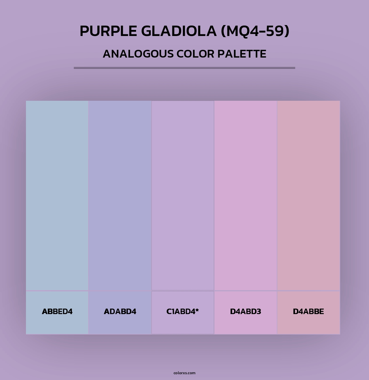Purple Gladiola (MQ4-59) - Analogous Color Palette