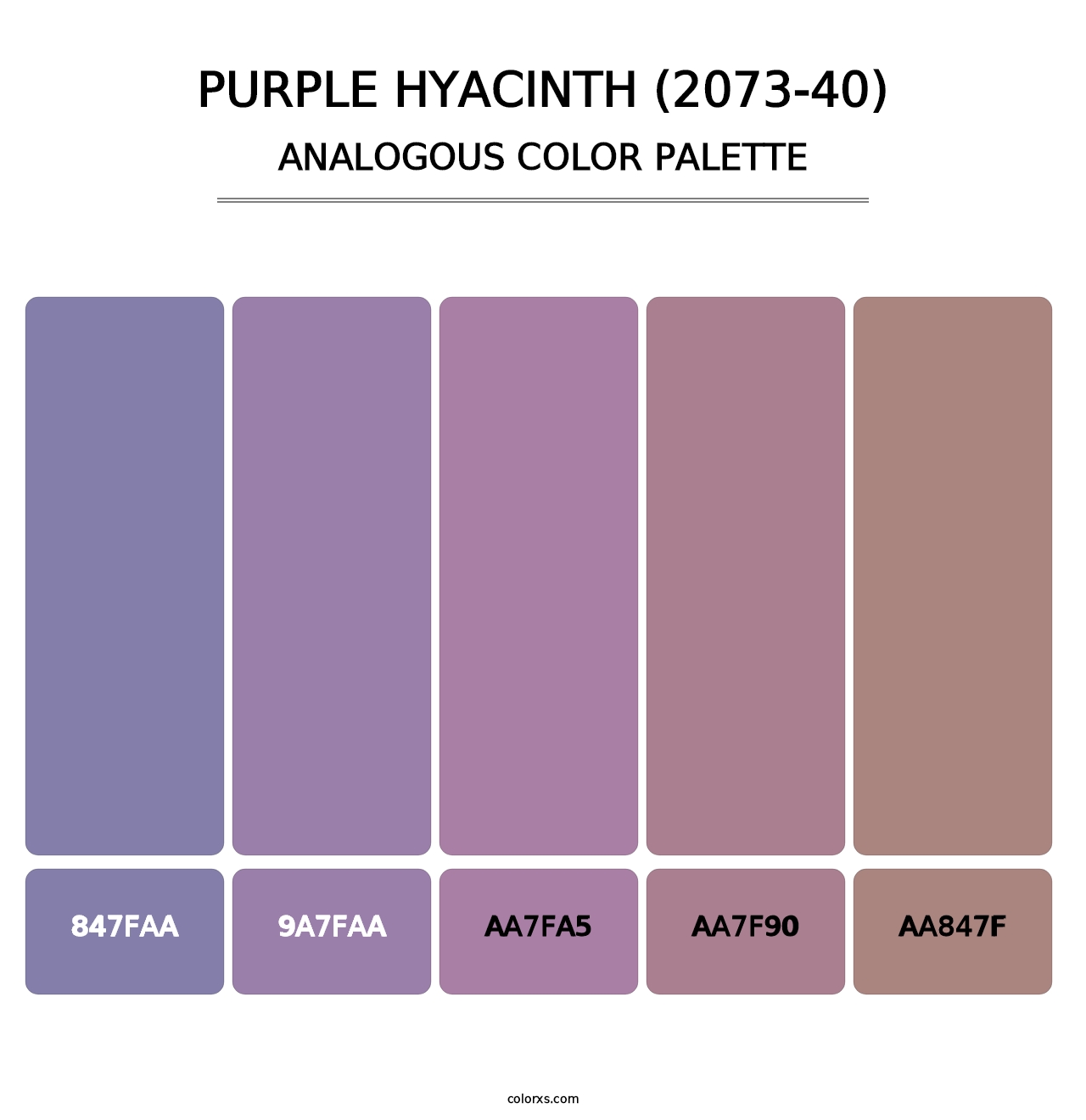 Purple Hyacinth (2073-40) - Analogous Color Palette