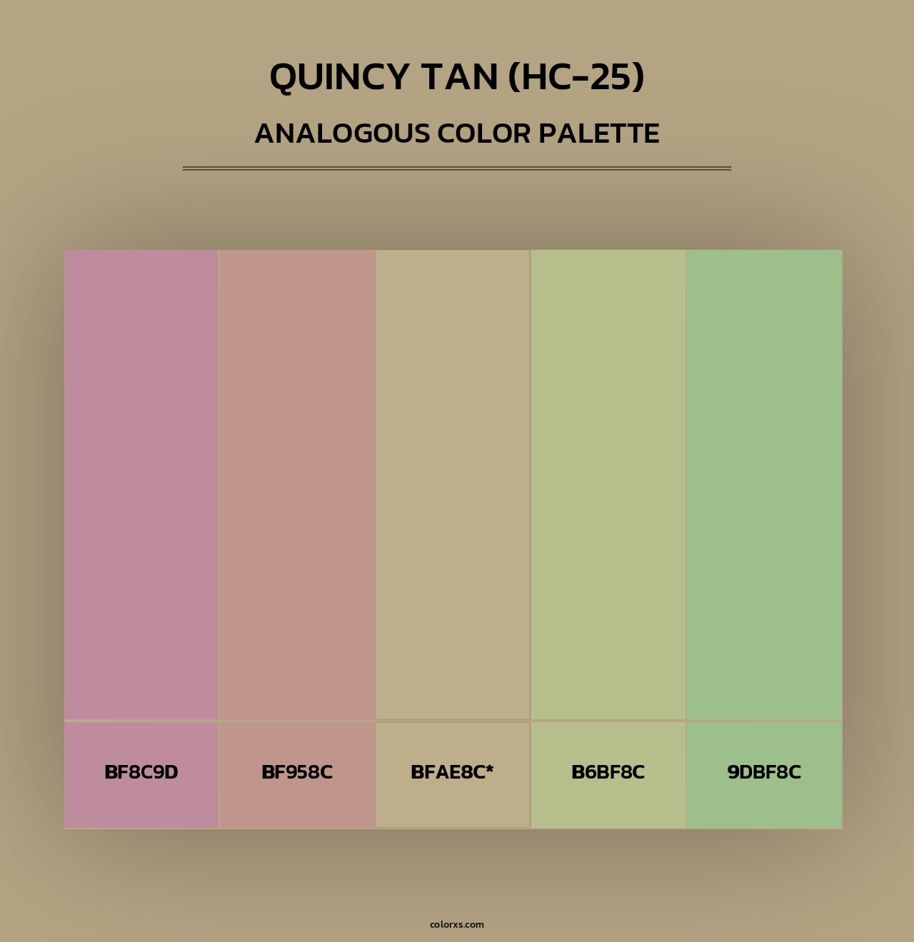 Quincy Tan (HC-25) - Analogous Color Palette