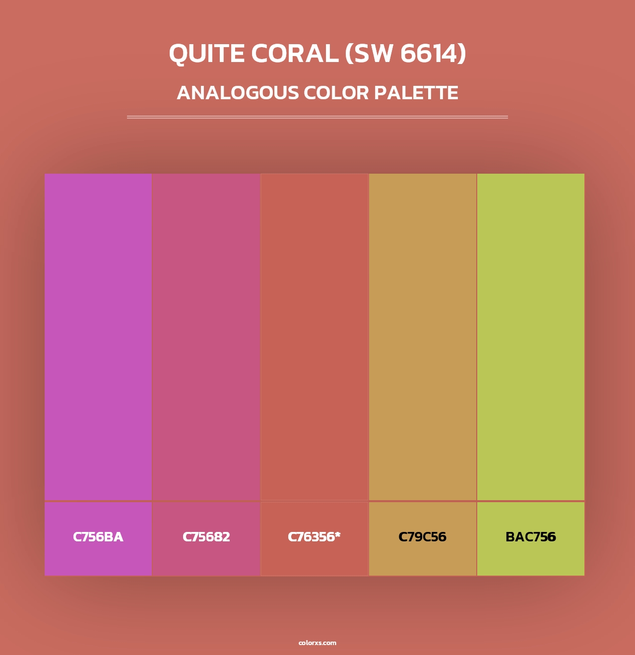 Quite Coral (SW 6614) - Analogous Color Palette