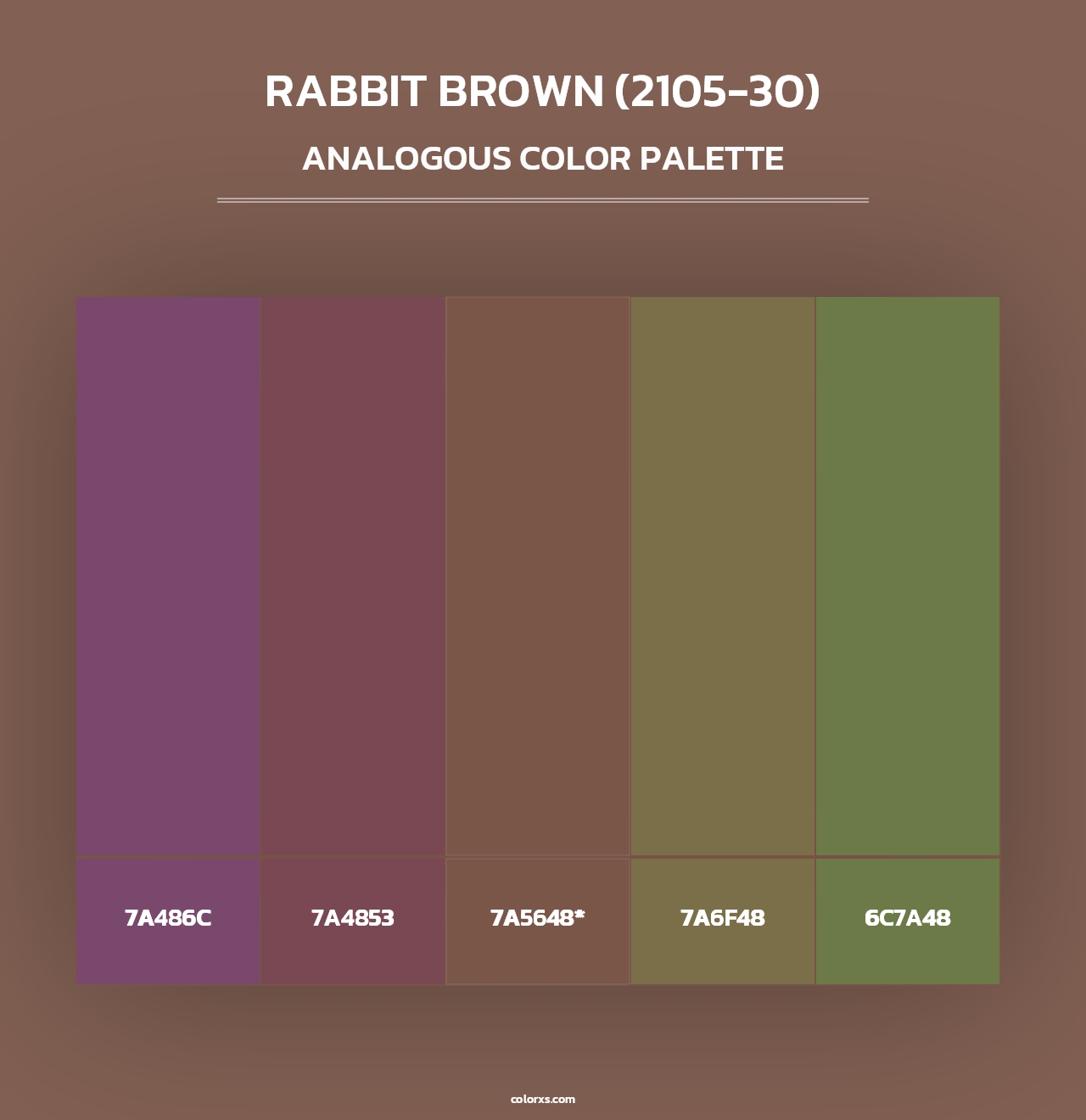 Rabbit Brown (2105-30) - Analogous Color Palette