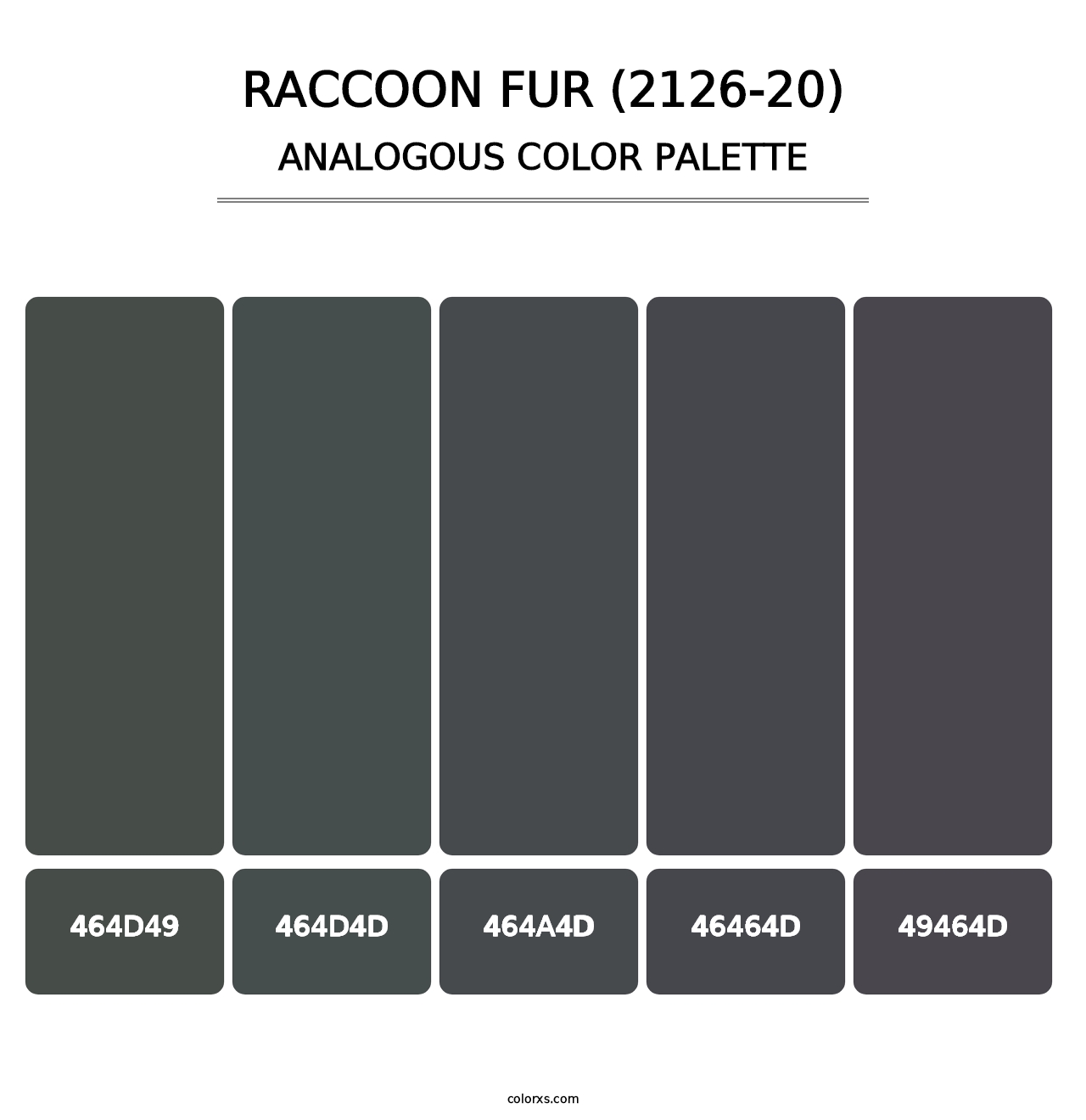 Raccoon Fur (2126-20) - Analogous Color Palette