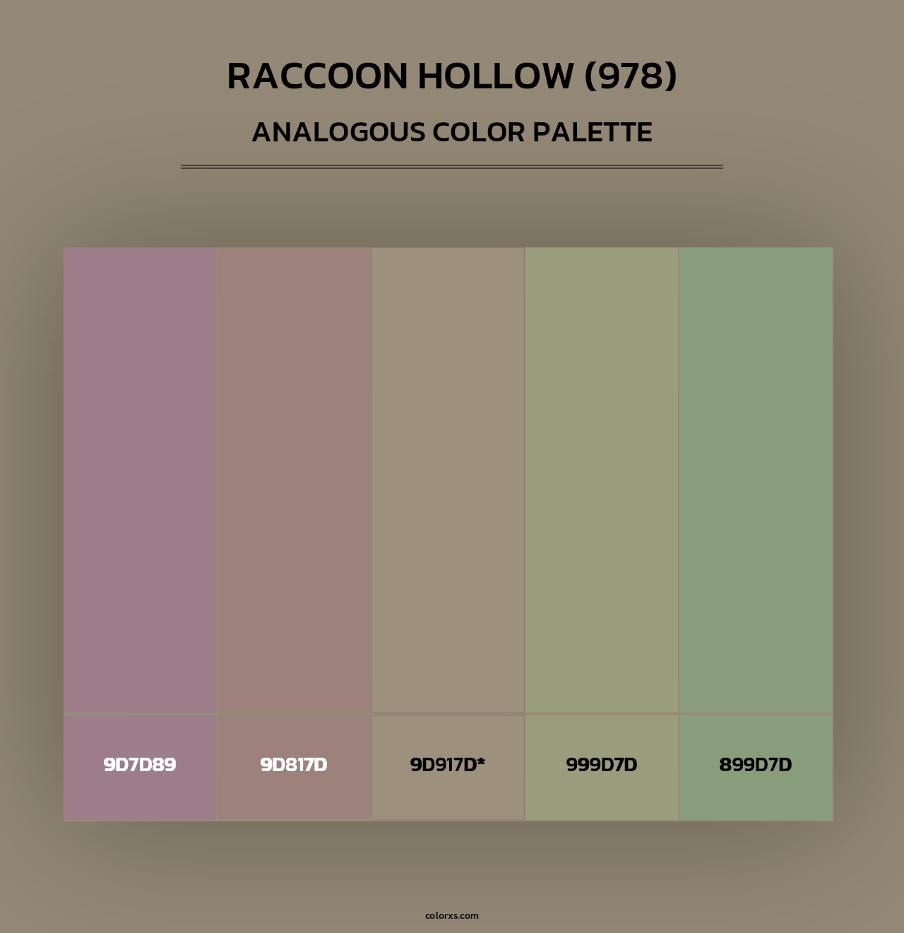 Raccoon Hollow (978) - Analogous Color Palette