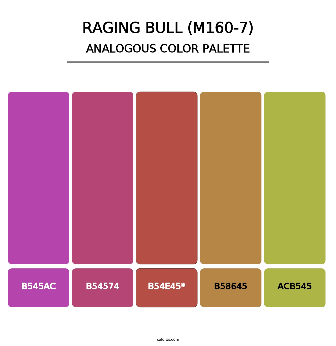 Raging Bull (M160-7) - Analogous Color Palette