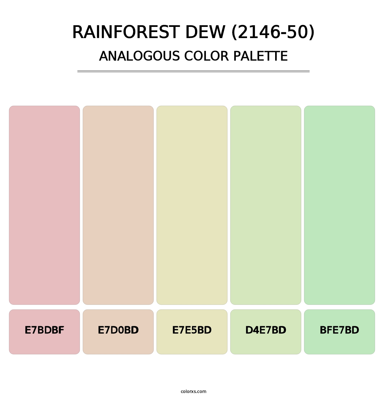 Rainforest Dew (2146-50) - Analogous Color Palette