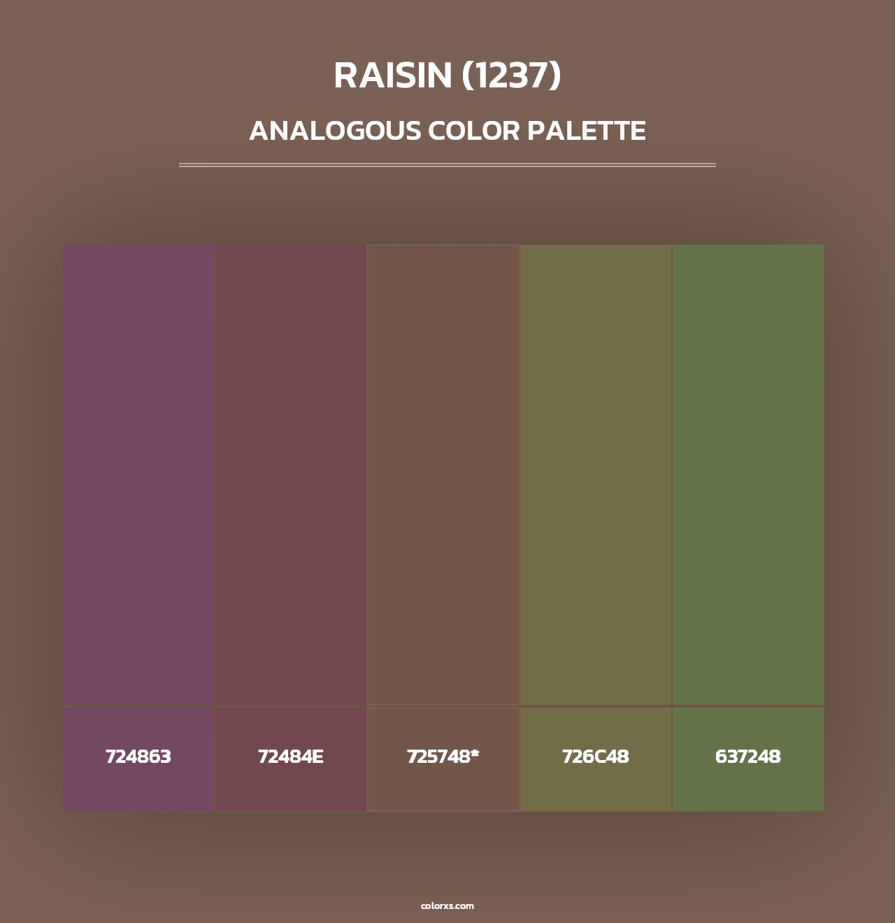 Raisin (1237) - Analogous Color Palette