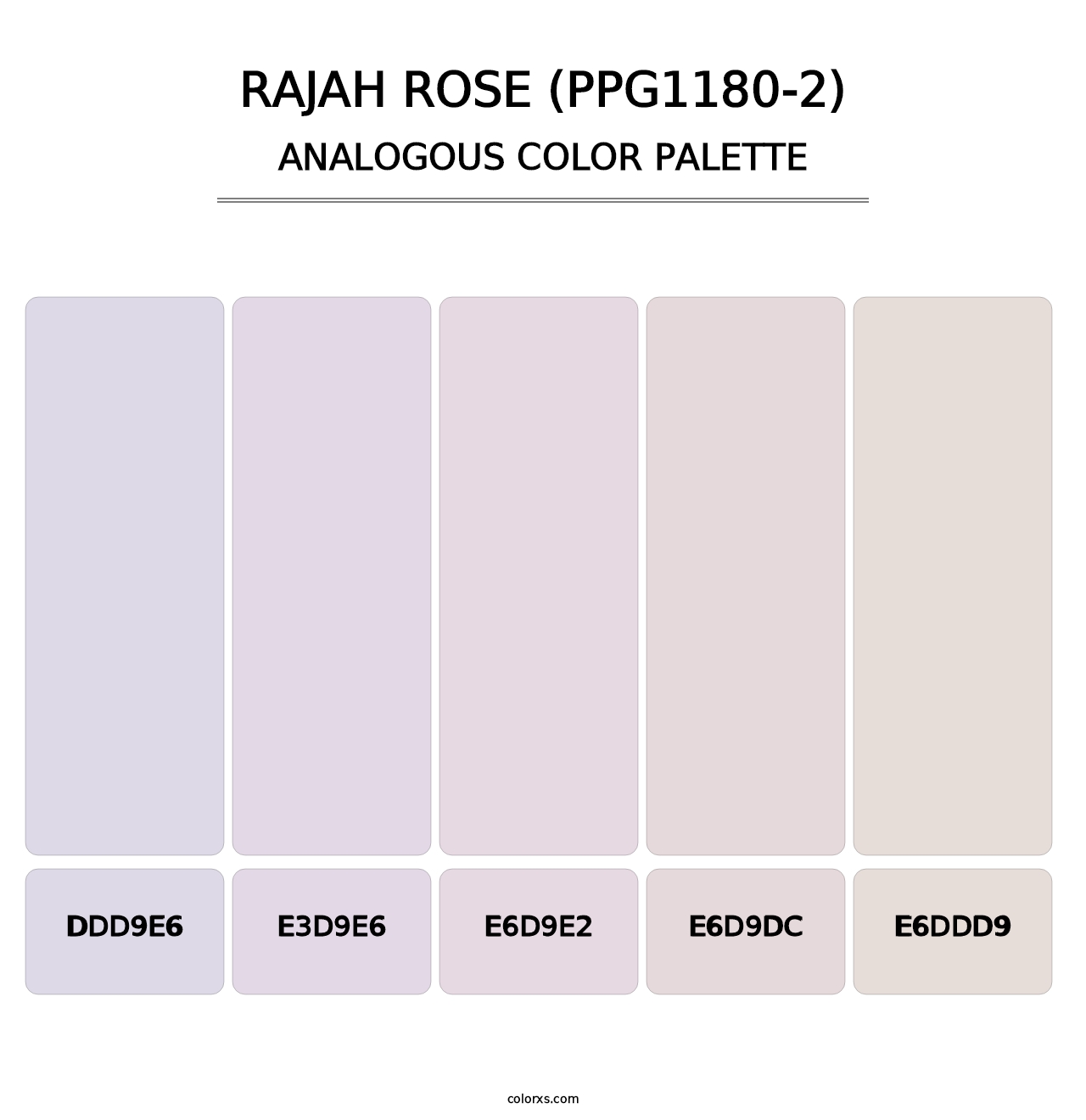 Rajah Rose (PPG1180-2) - Analogous Color Palette