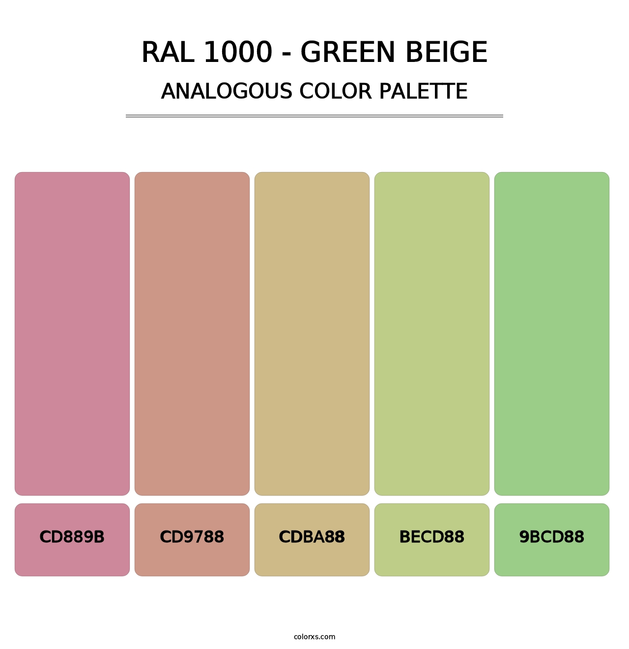 RAL 1000 - Green Beige - Analogous Color Palette