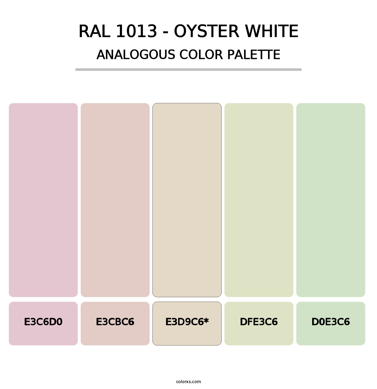 RAL 1013 - Oyster White - Analogous Color Palette