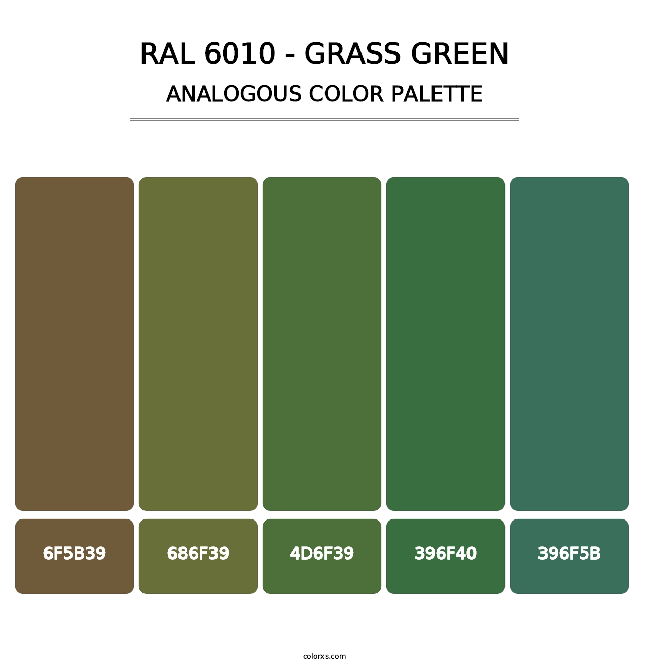 RAL 6010 - Grass Green - Analogous Color Palette