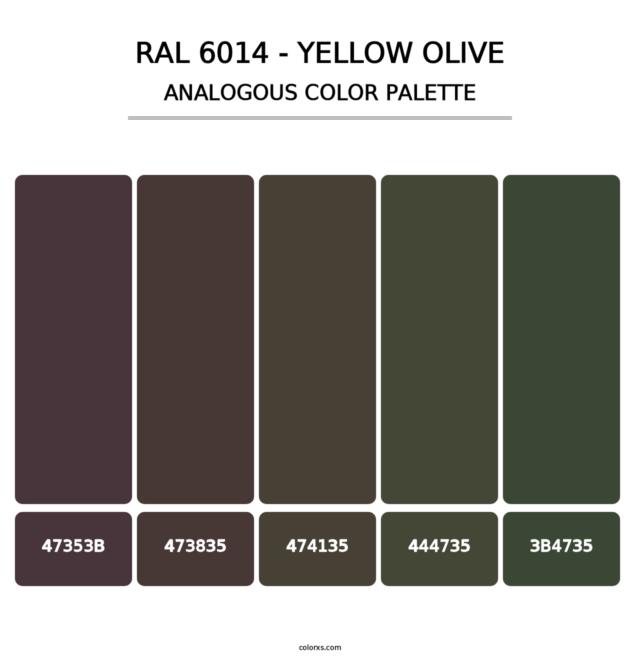 RAL 6014 - Yellow Olive - Analogous Color Palette
