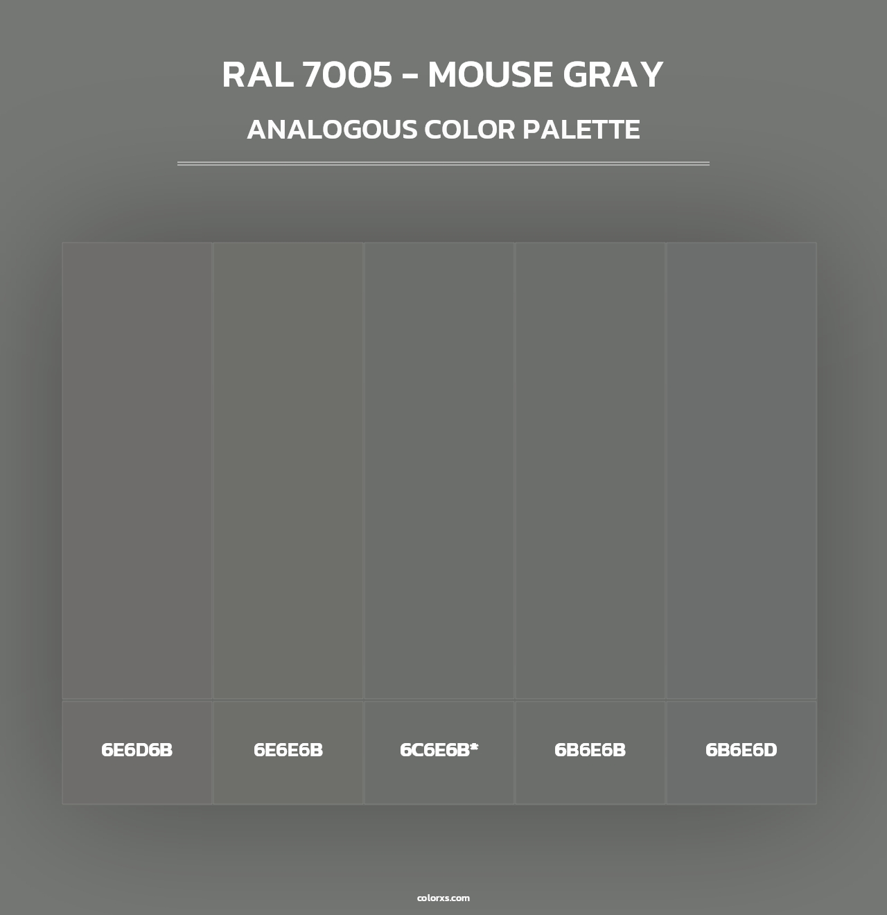 RAL 7005 - Mouse Gray - Analogous Color Palette