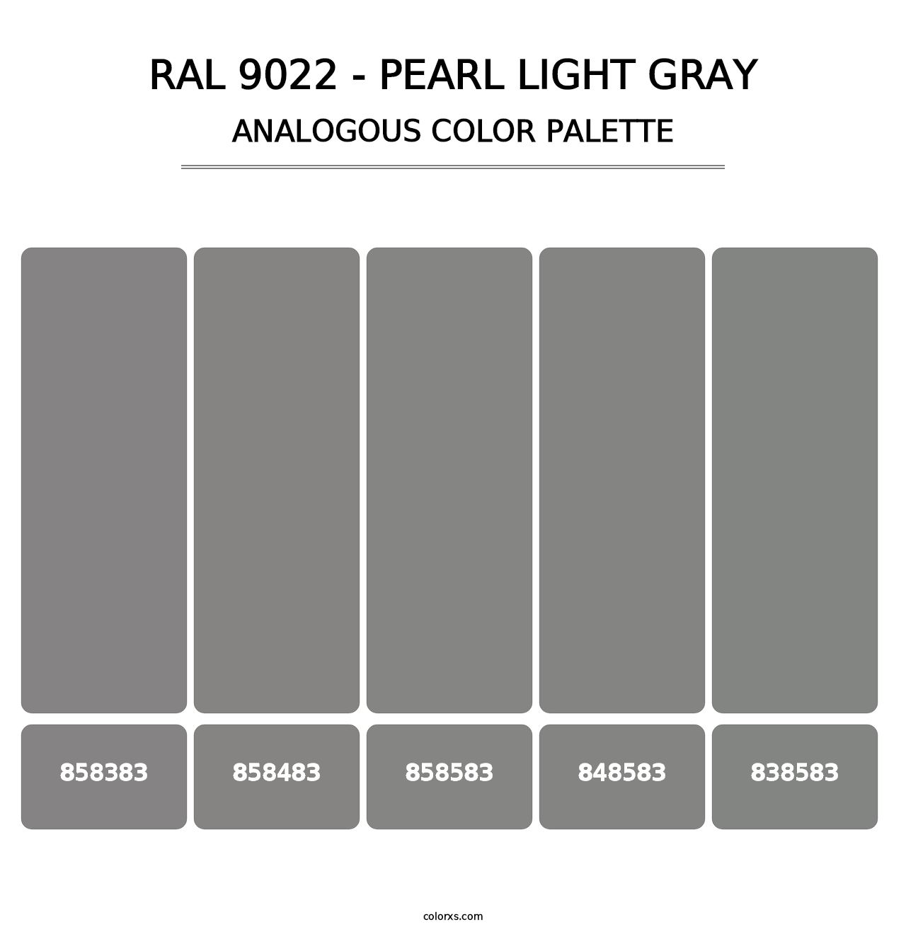 RAL 9022 - Pearl Light Gray - Analogous Color Palette