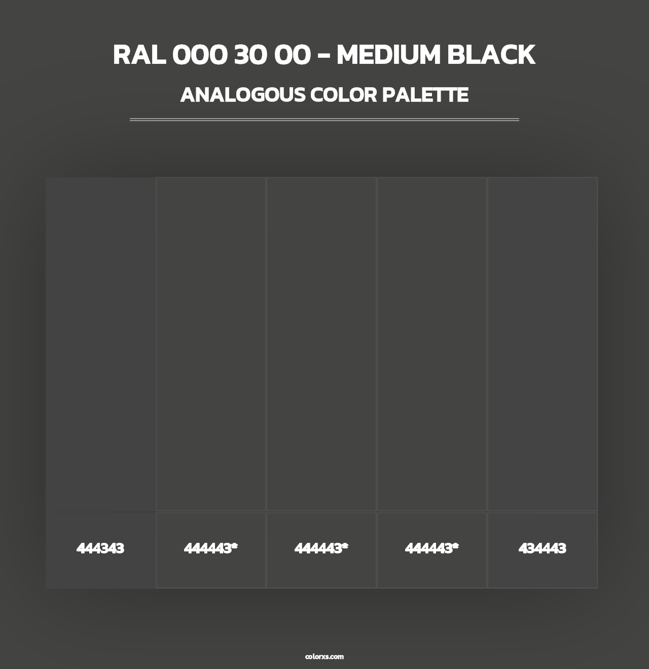 RAL 000 30 00 - Medium Black - Analogous Color Palette