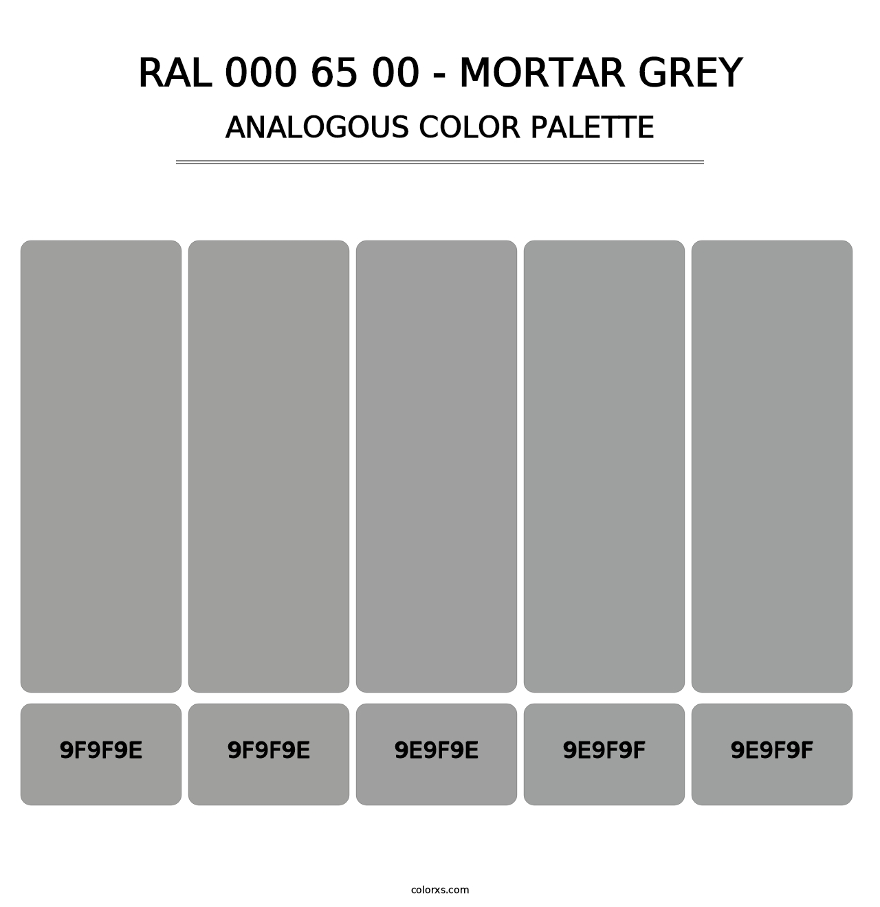 RAL 000 65 00 - Mortar Grey - Analogous Color Palette