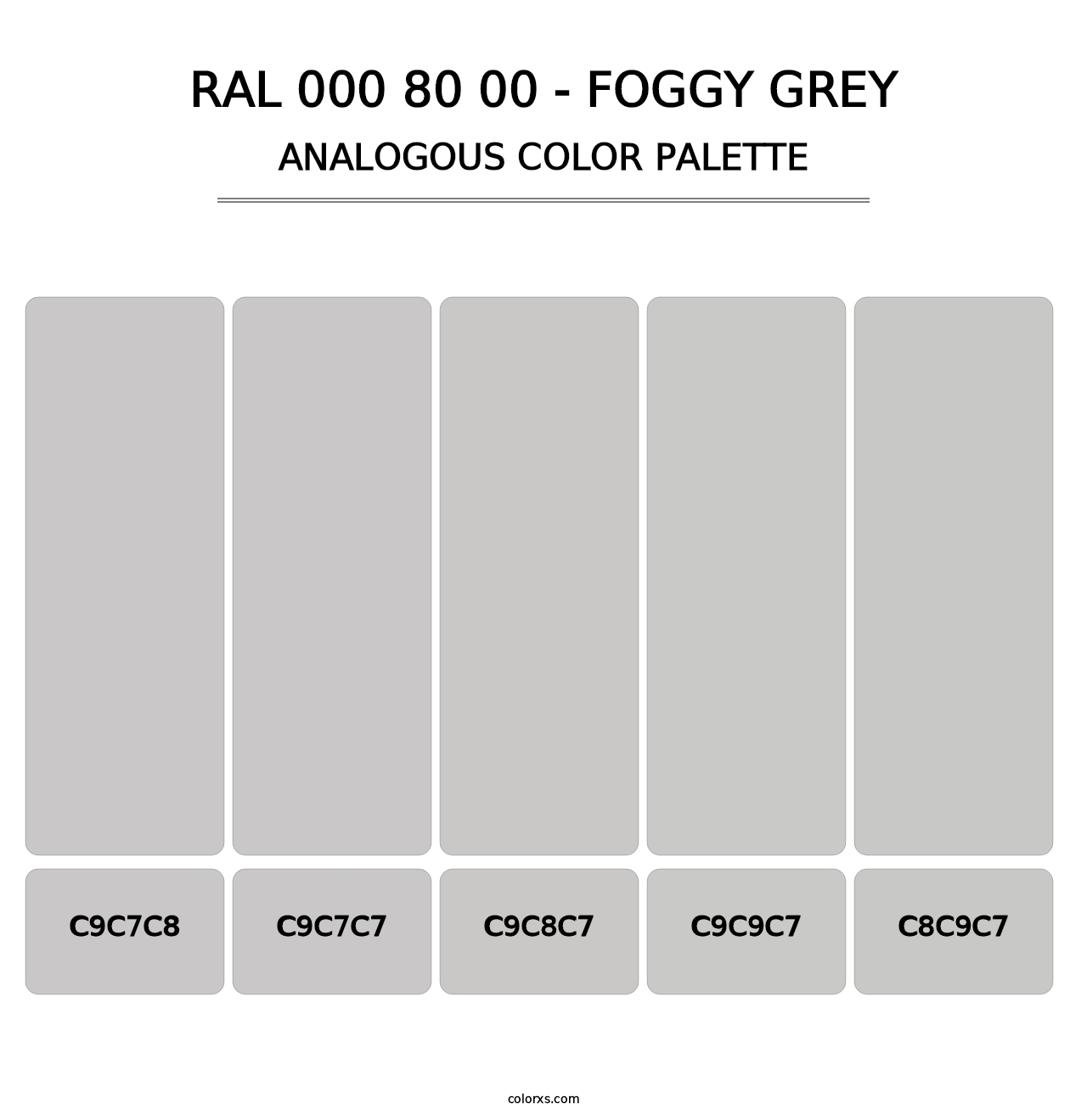 RAL 000 80 00 - Foggy Grey - Analogous Color Palette
