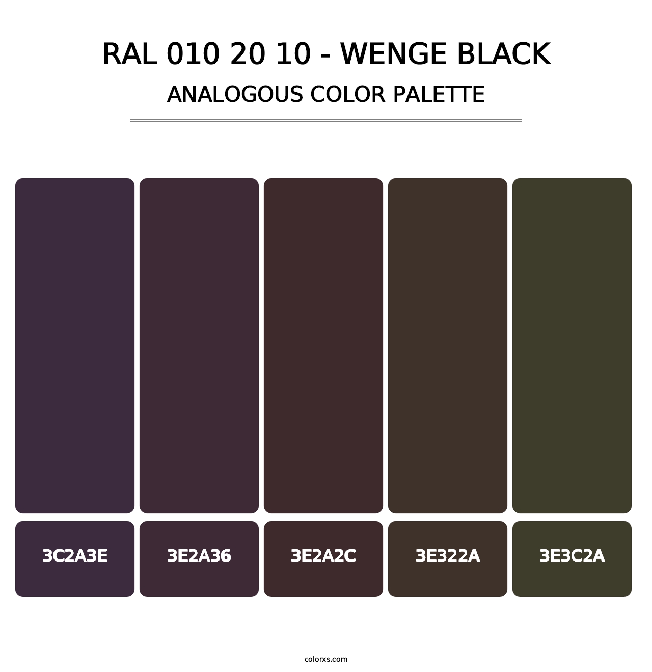 RAL 010 20 10 - Wenge Black - Analogous Color Palette