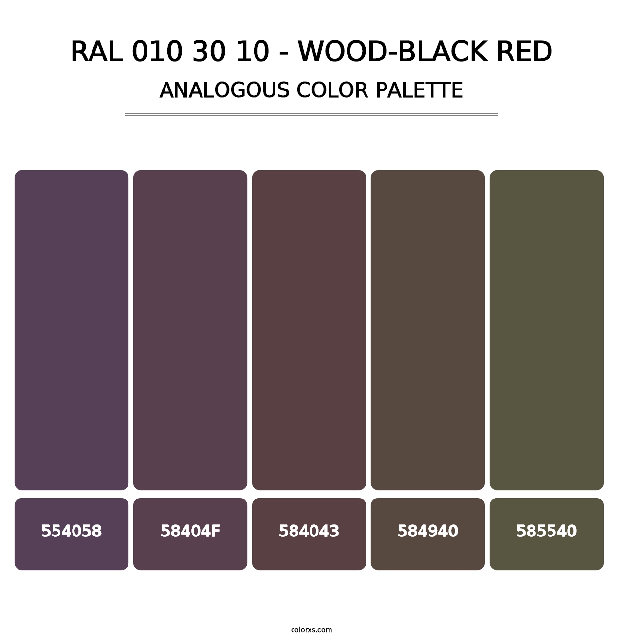 RAL 010 30 10 - Wood-Black Red - Analogous Color Palette