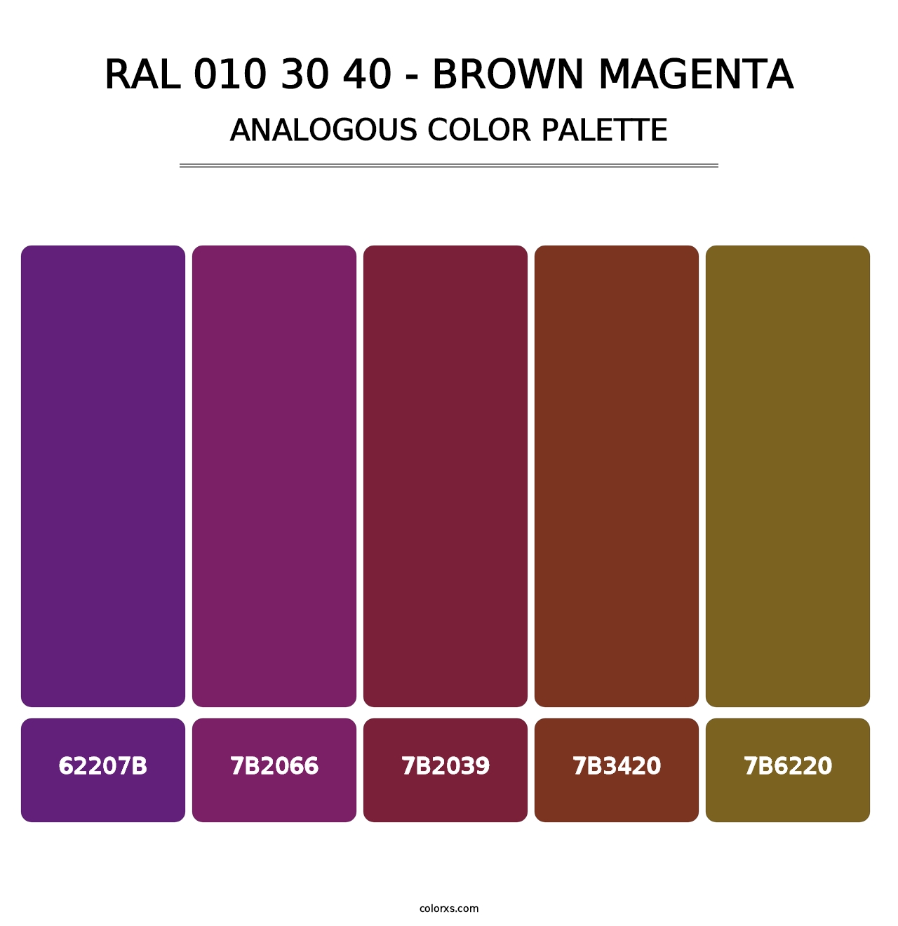 RAL 010 30 40 - Brown Magenta - Analogous Color Palette