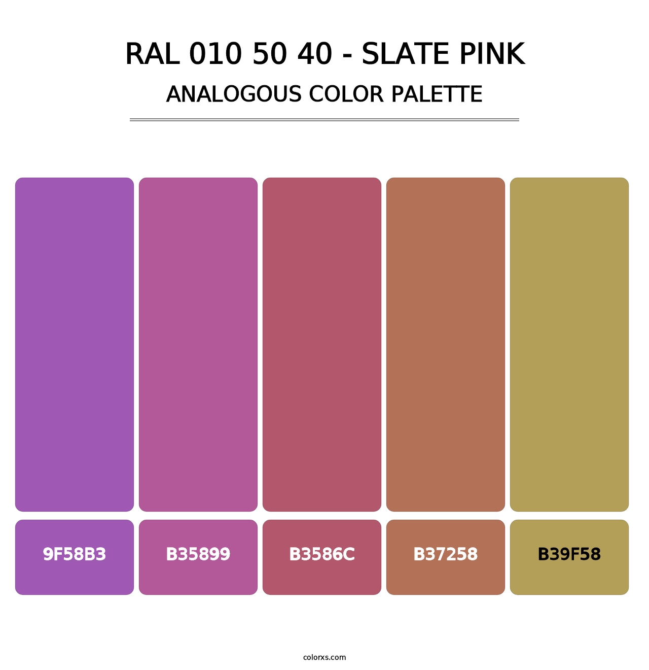 RAL 010 50 40 - Slate Pink - Analogous Color Palette