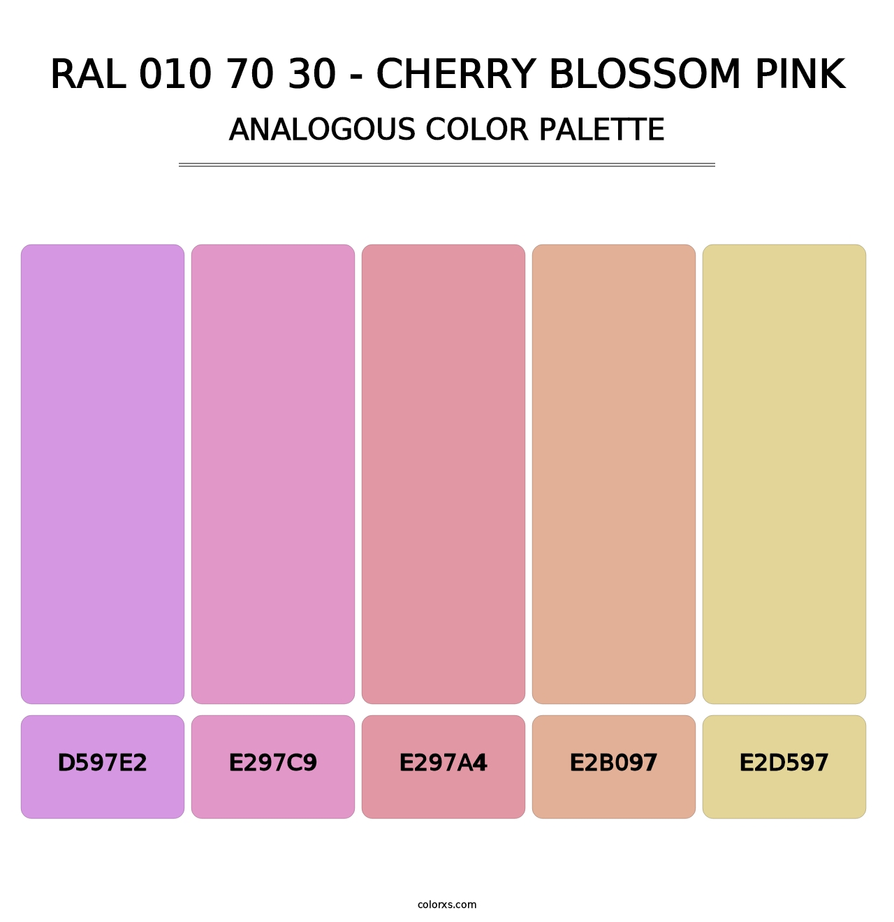 RAL 010 70 30 - Cherry Blossom Pink - Analogous Color Palette