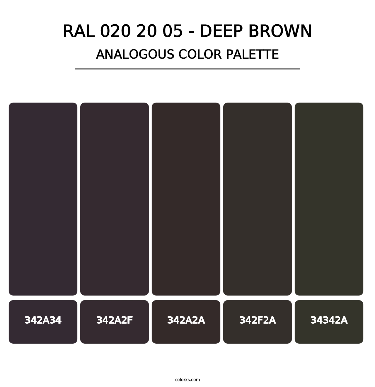 RAL 020 20 05 - Deep Brown - Analogous Color Palette