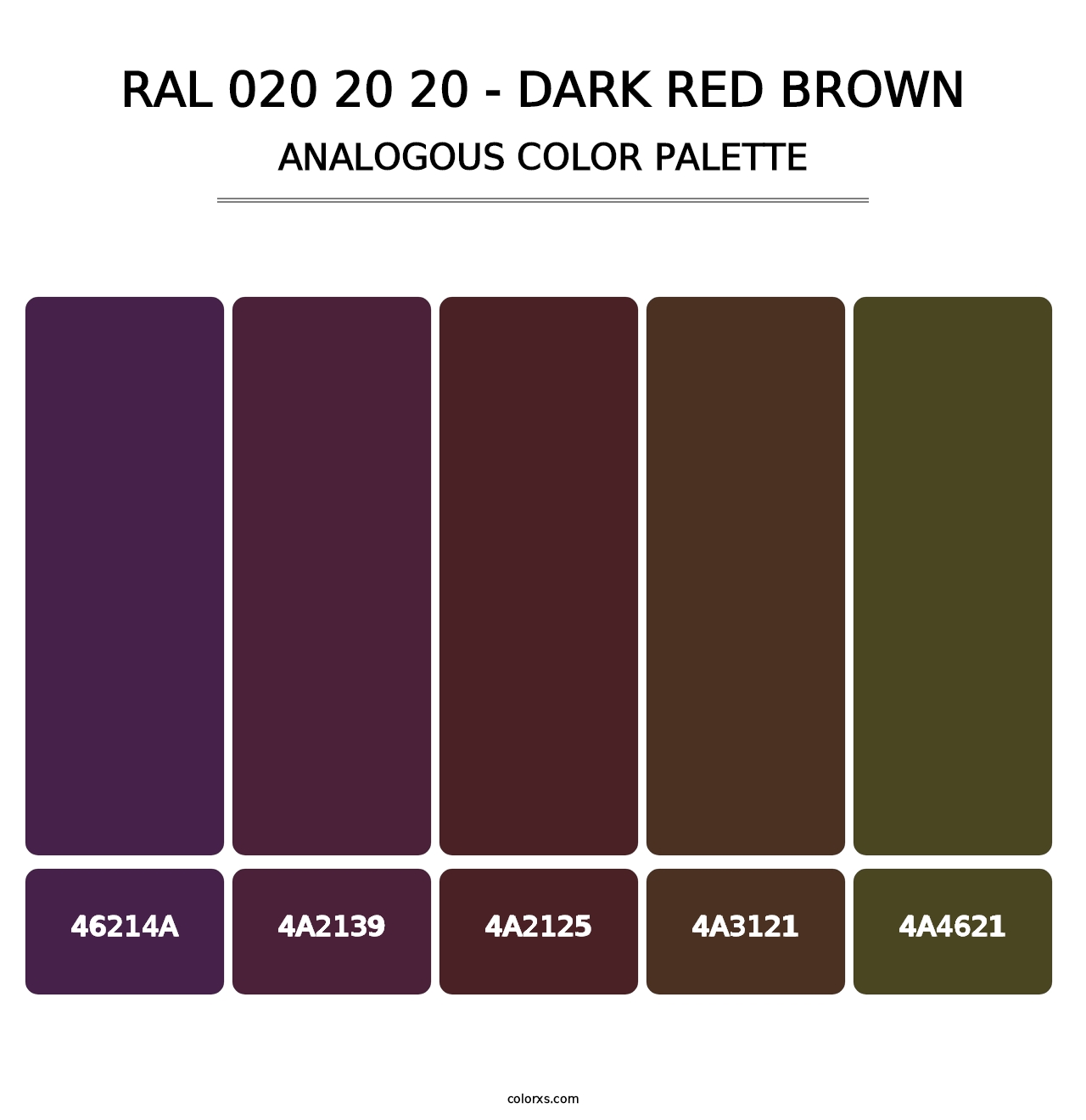 RAL 020 20 20 - Dark Red Brown - Analogous Color Palette