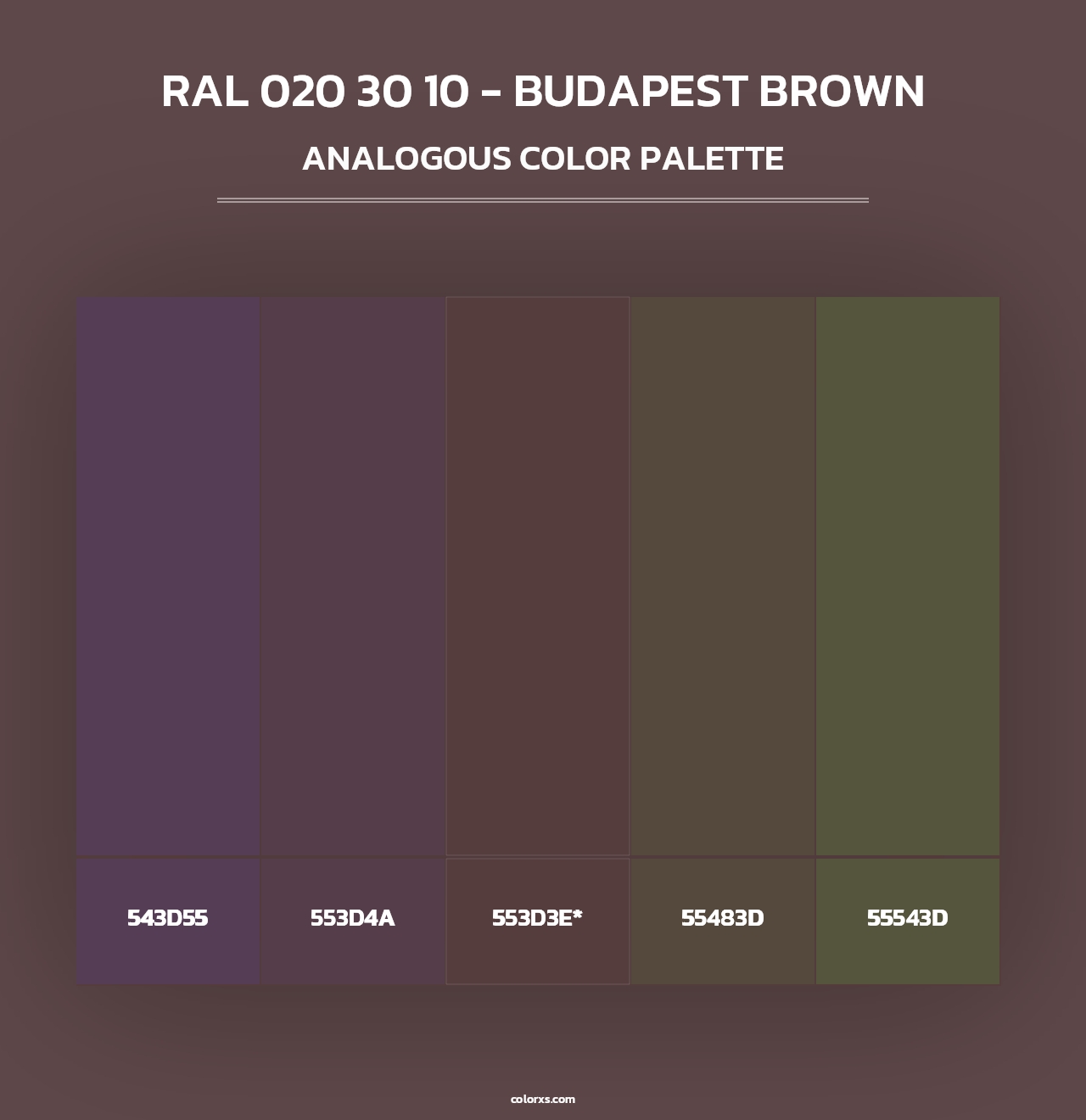 RAL 020 30 10 - Budapest Brown - Analogous Color Palette