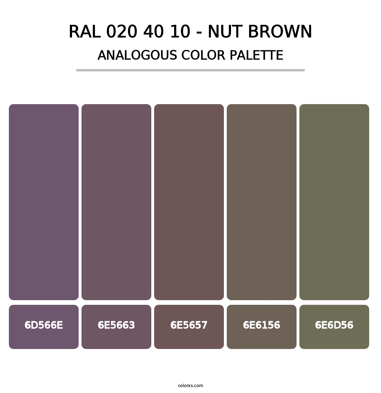 RAL 020 40 10 - Nut Brown - Analogous Color Palette