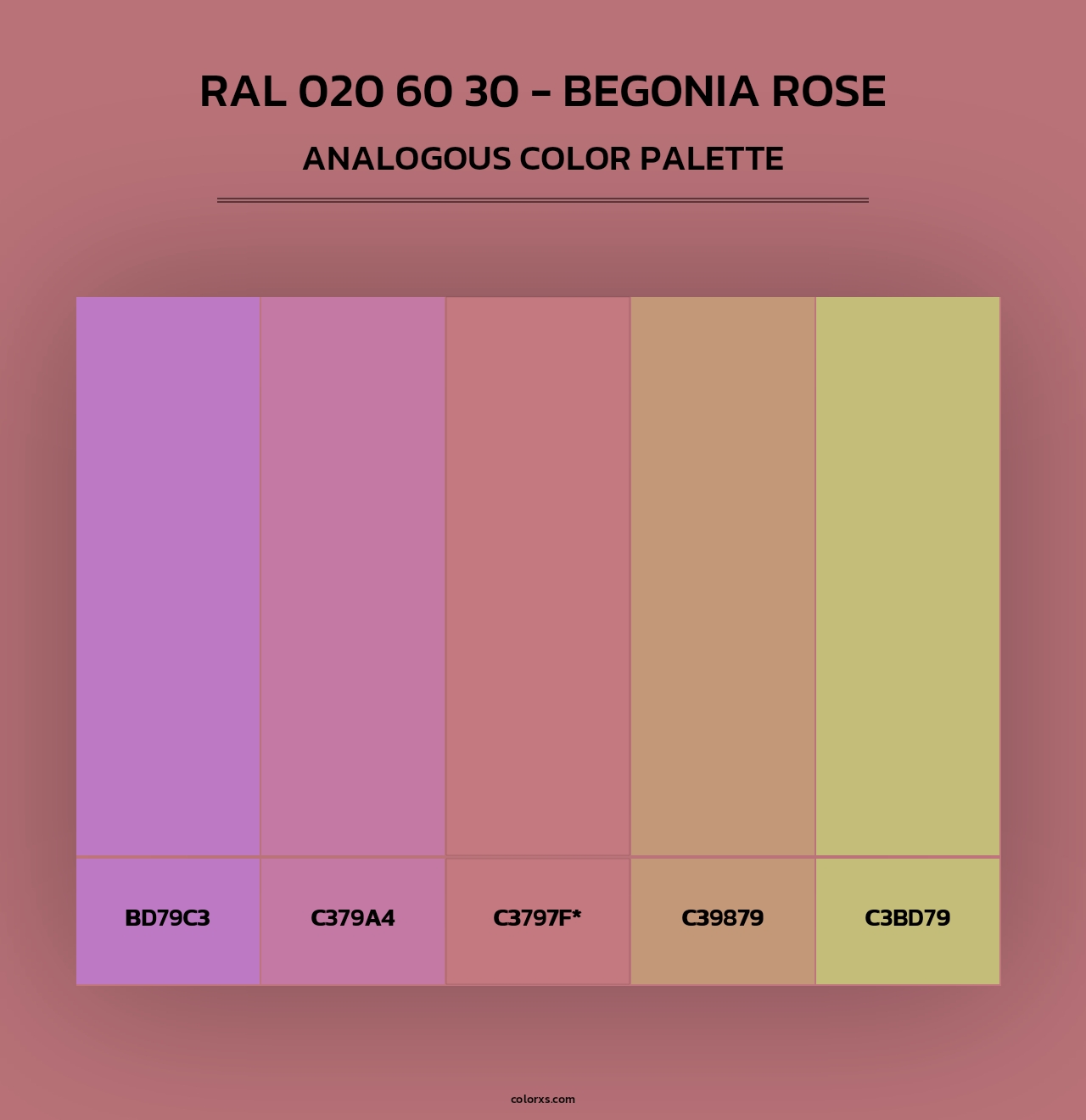 RAL 020 60 30 - Begonia Rose - Analogous Color Palette