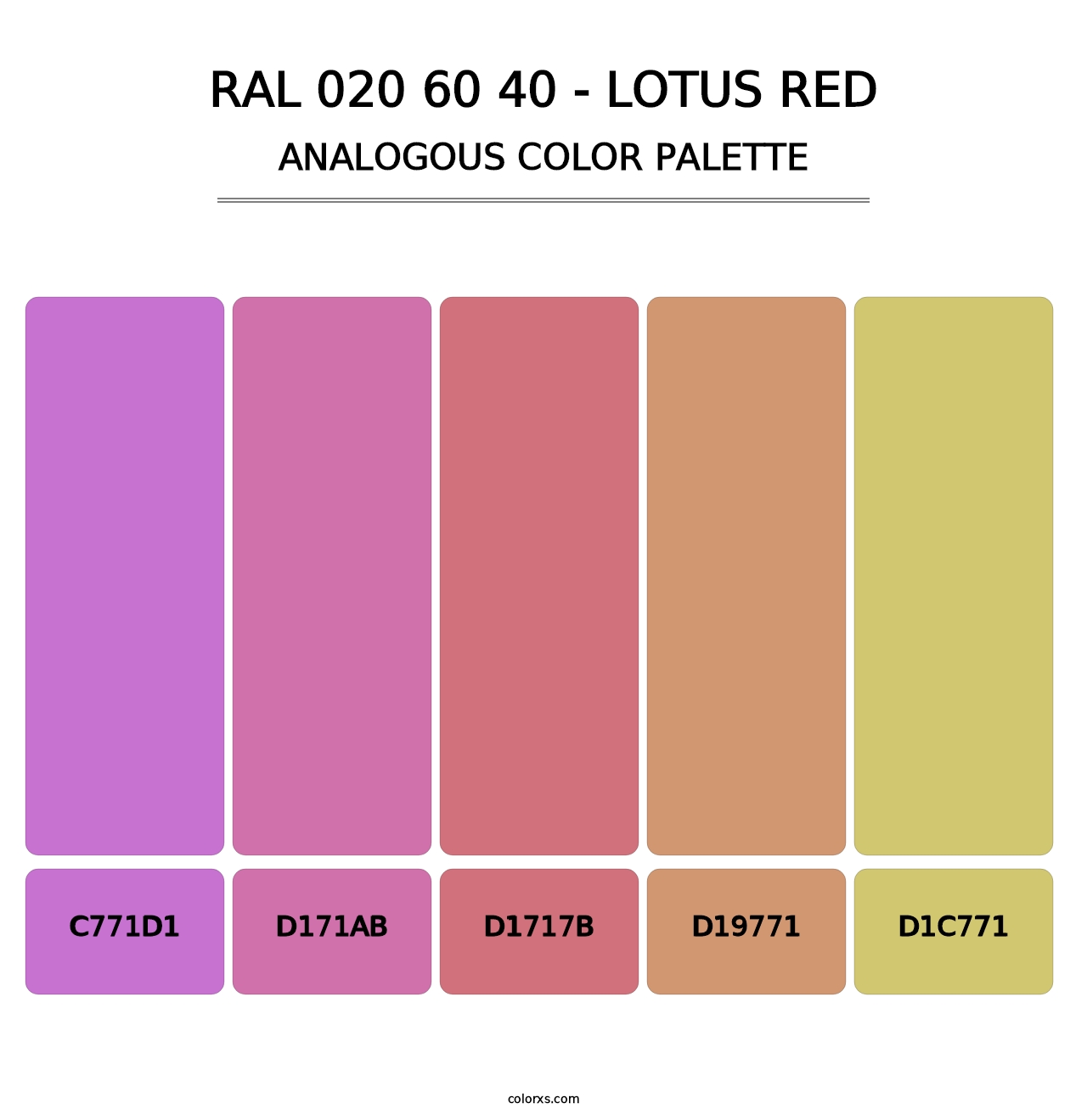 RAL 020 60 40 - Lotus Red - Analogous Color Palette