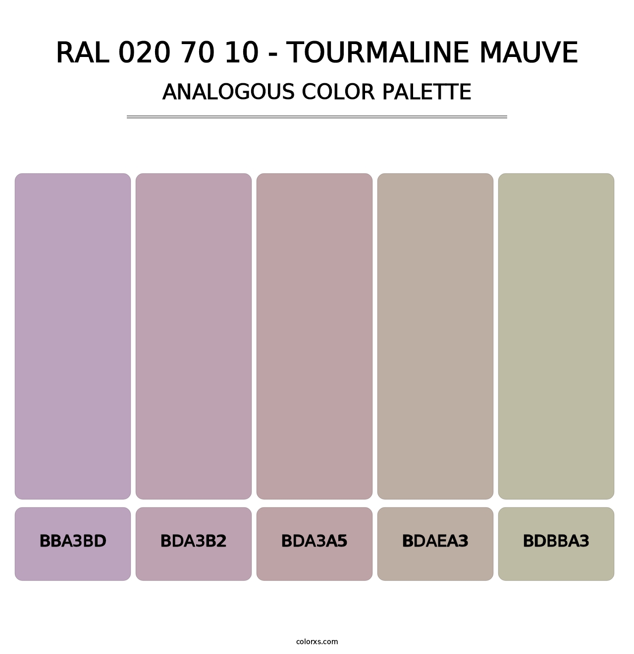 RAL 020 70 10 - Tourmaline Mauve - Analogous Color Palette