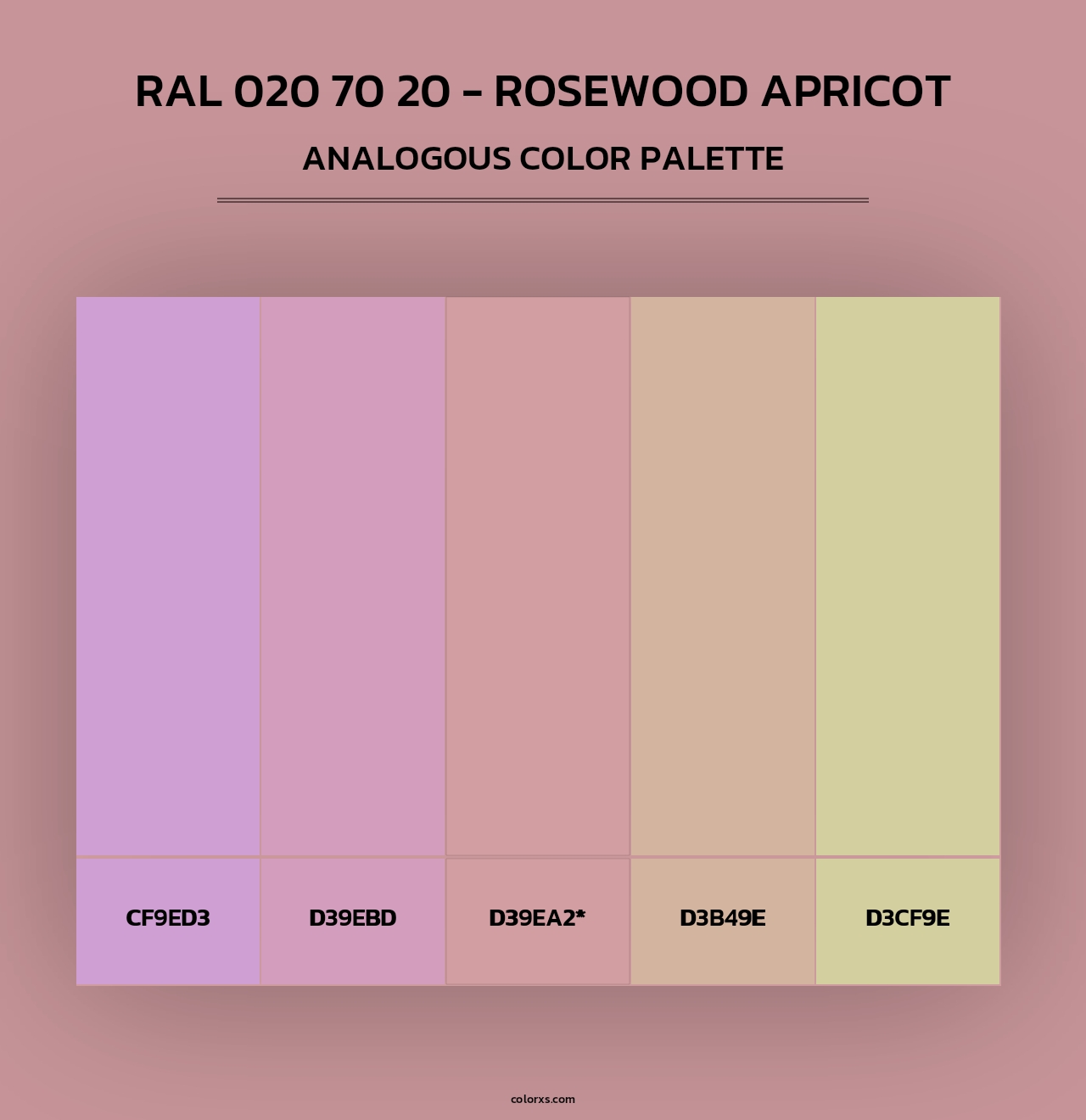 RAL 020 70 20 - Rosewood Apricot - Analogous Color Palette