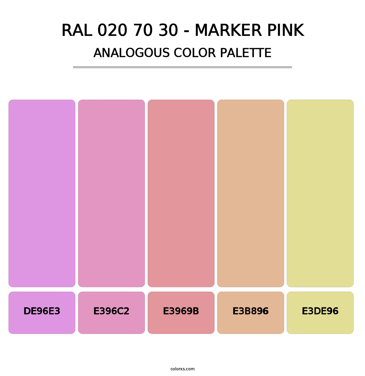 RAL 020 70 30 - Marker Pink - Analogous Color Palette