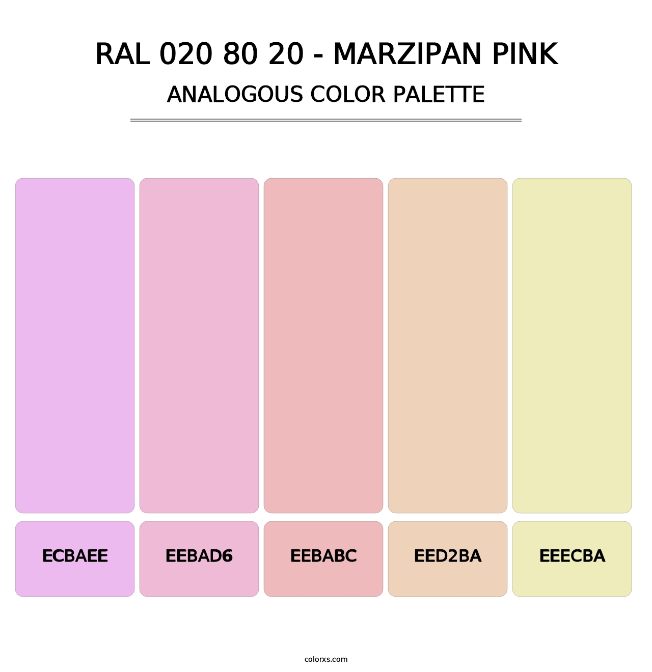 RAL 020 80 20 - Marzipan Pink - Analogous Color Palette