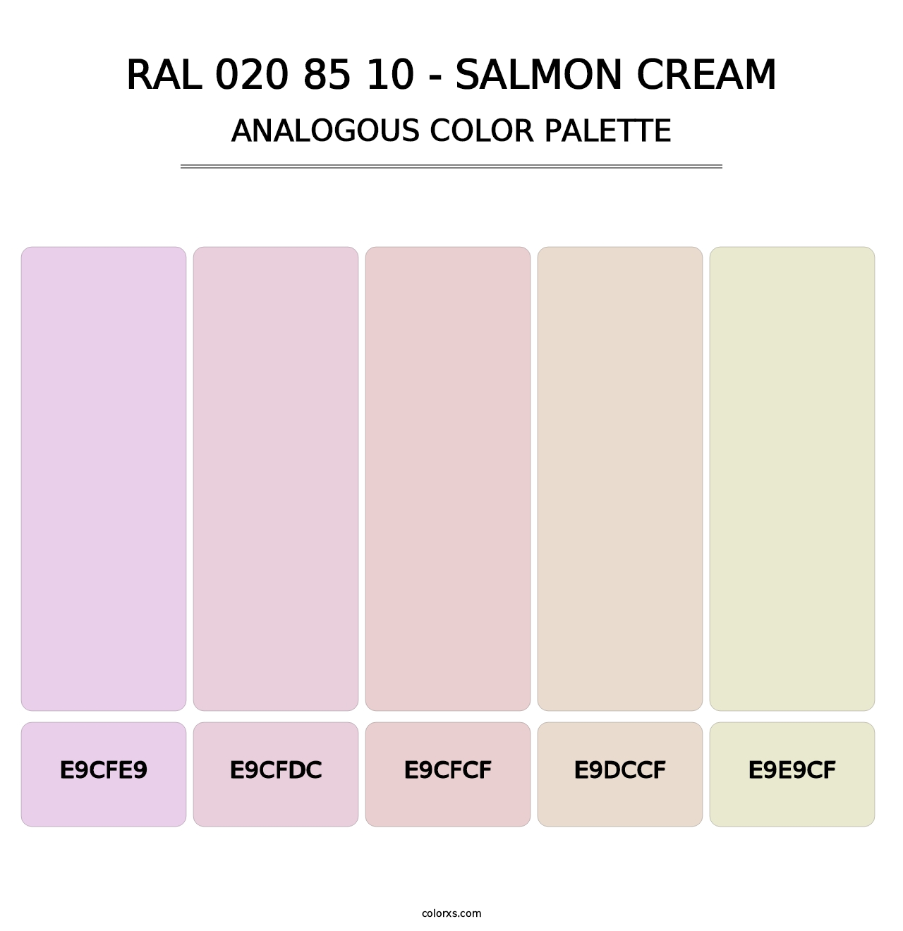 RAL 020 85 10 - Salmon Cream - Analogous Color Palette