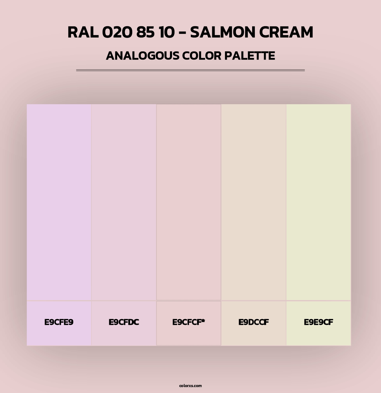 RAL 020 85 10 - Salmon Cream - Analogous Color Palette