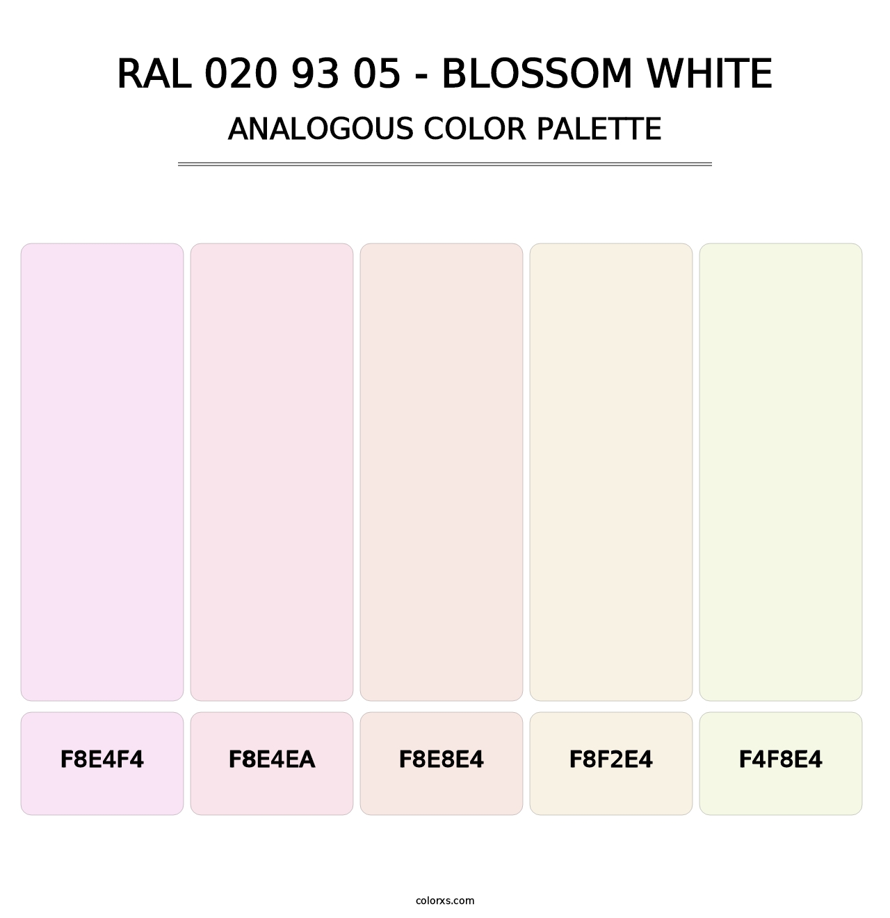 RAL 020 93 05 - Blossom White - Analogous Color Palette