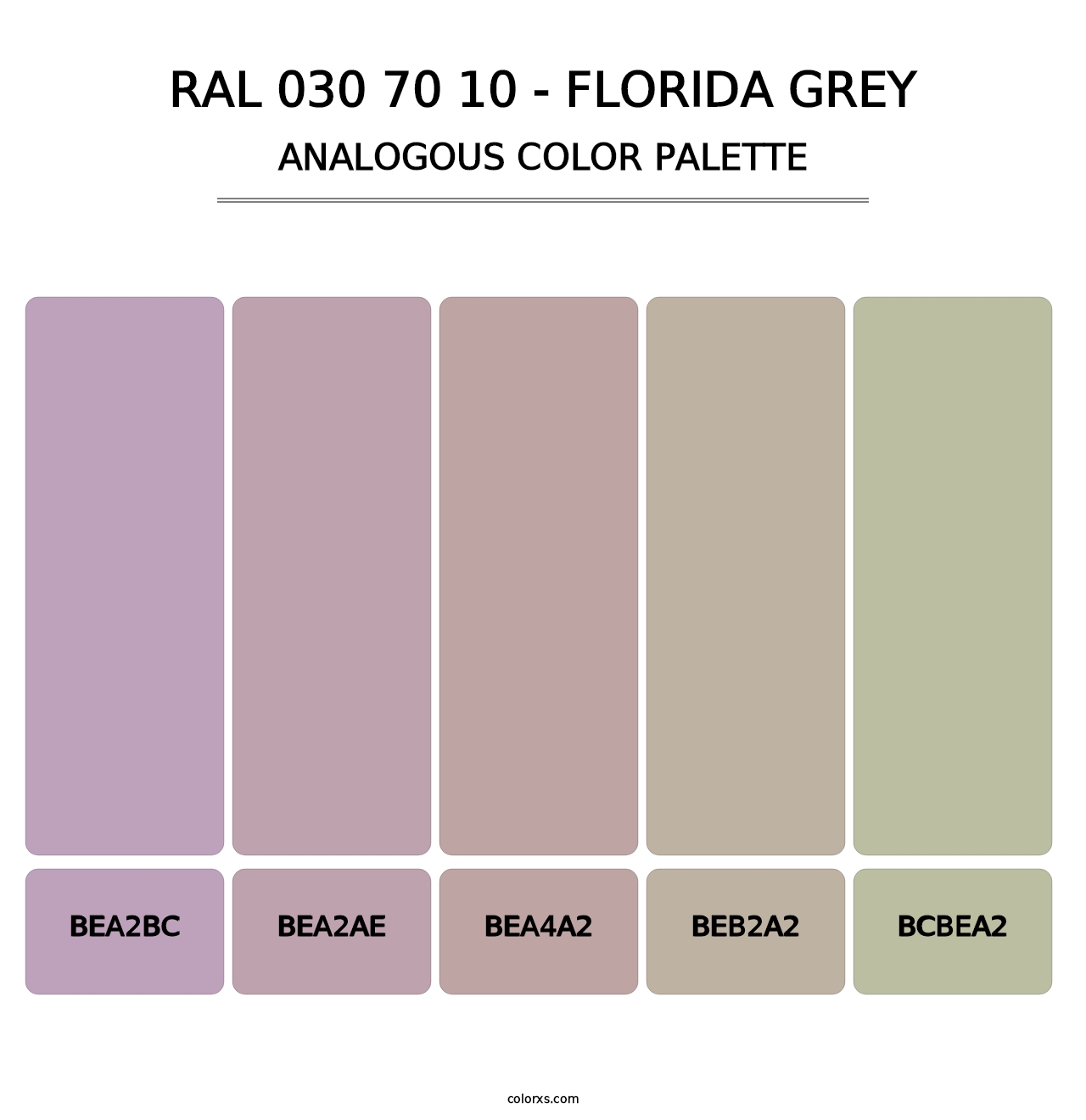 RAL 030 70 10 - Florida Grey - Analogous Color Palette