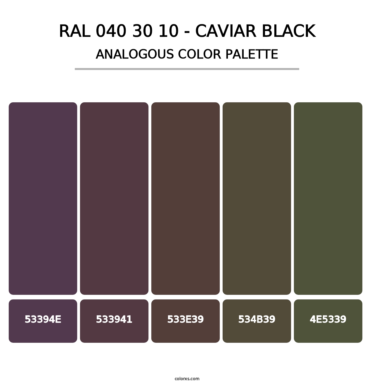 RAL 040 30 10 - Caviar Black - Analogous Color Palette