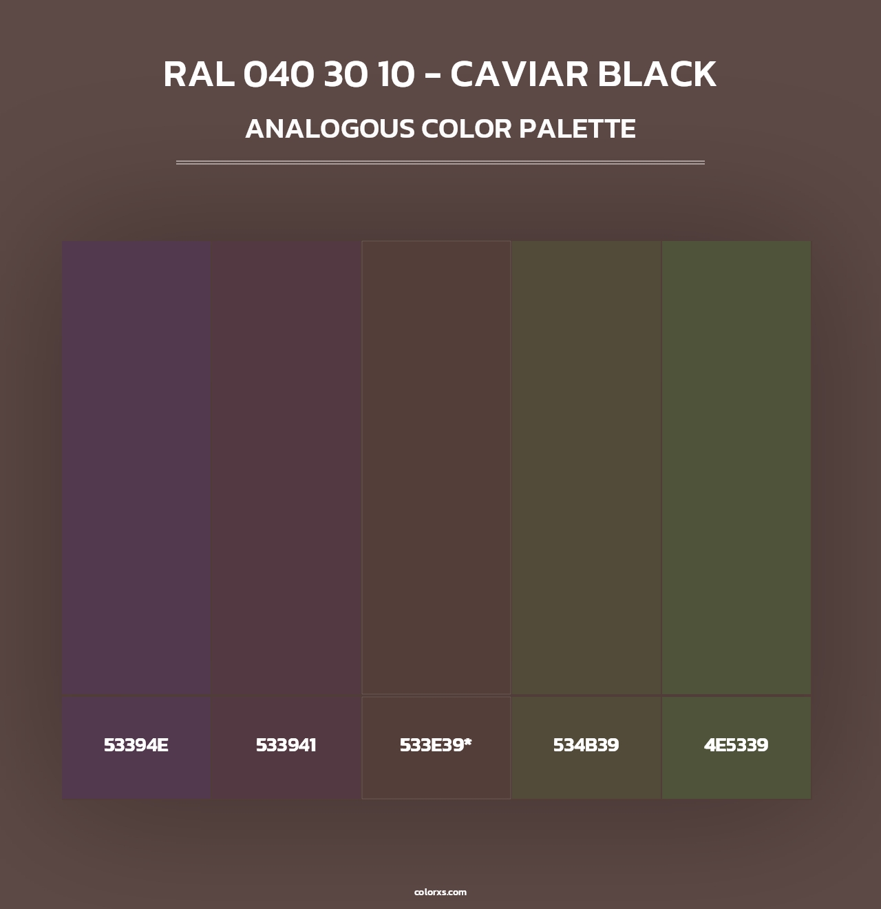 RAL 040 30 10 - Caviar Black - Analogous Color Palette