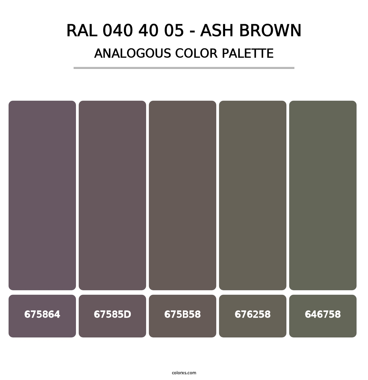 RAL 040 40 05 - Ash Brown - Analogous Color Palette
