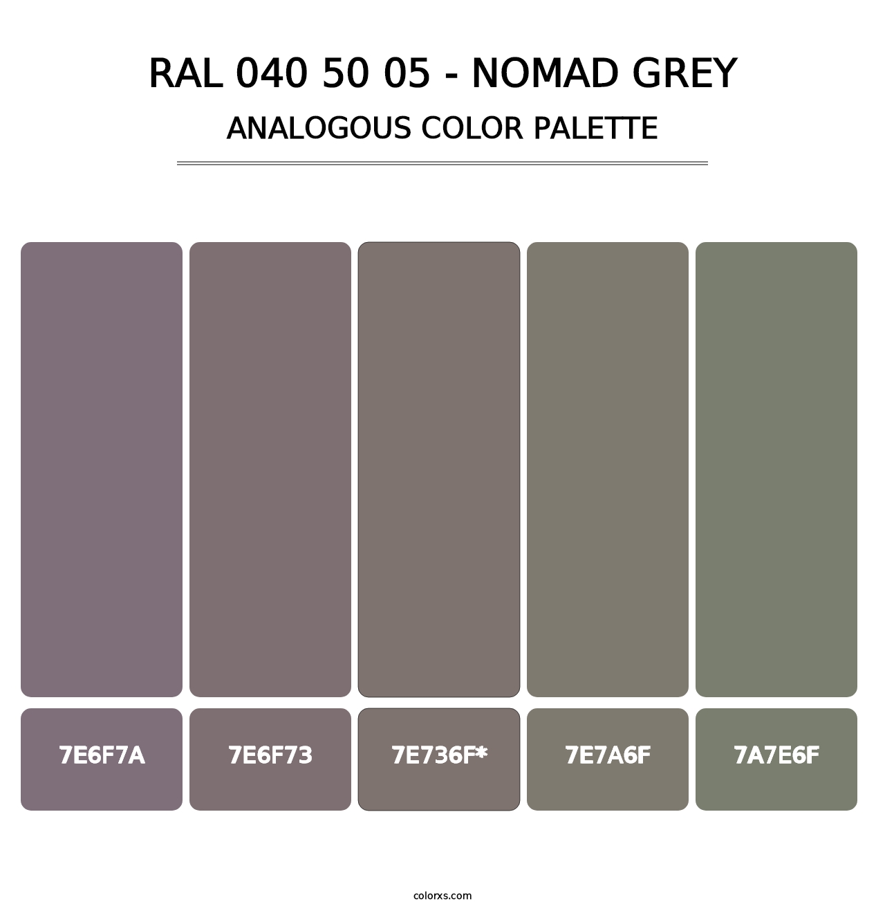 RAL 040 50 05 - Nomad Grey - Analogous Color Palette
