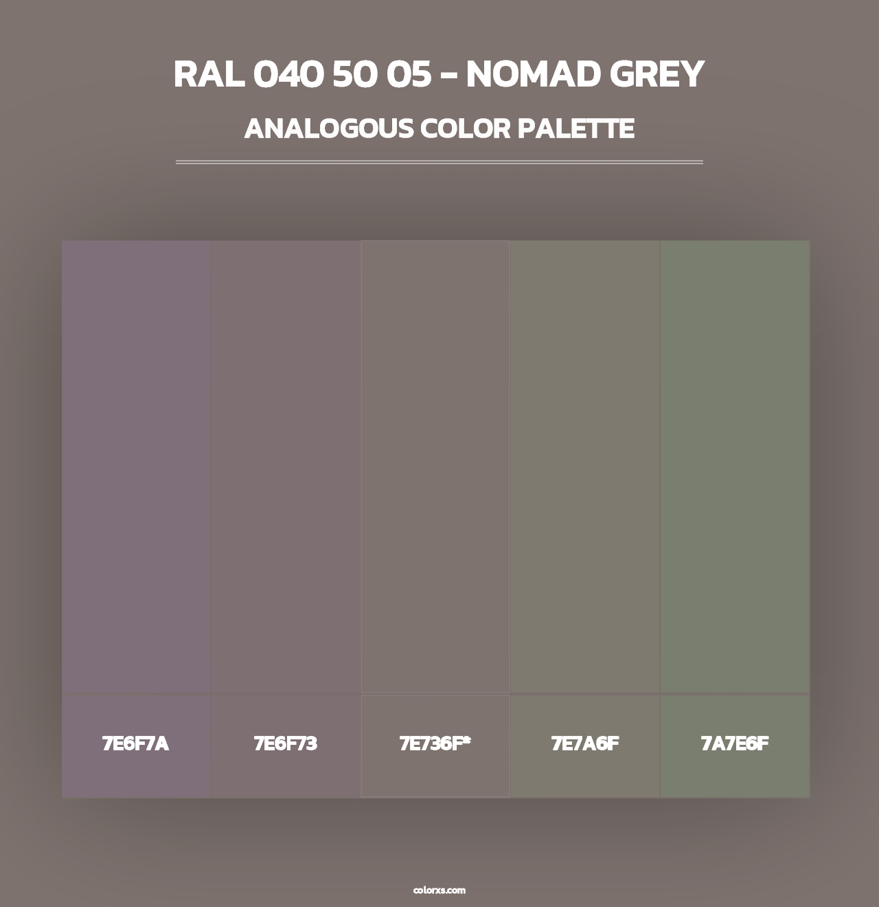RAL 040 50 05 - Nomad Grey - Analogous Color Palette