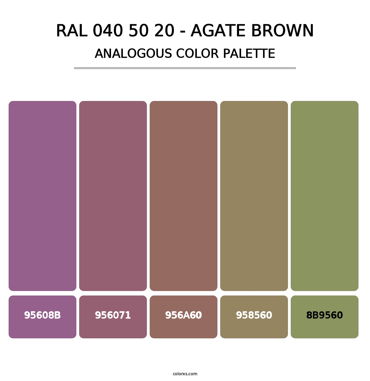 RAL 040 50 20 - Agate Brown - Analogous Color Palette