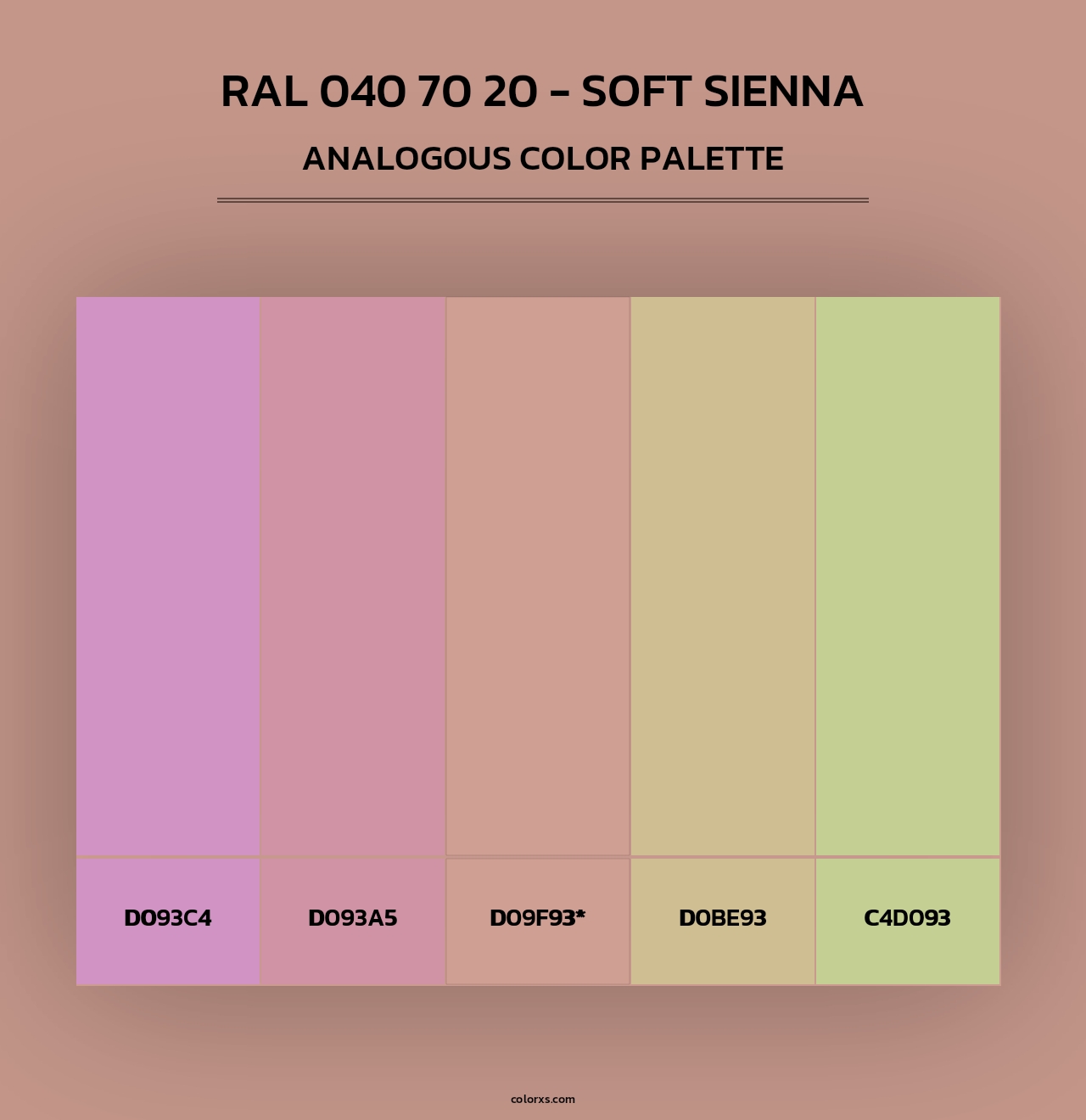 RAL 040 70 20 - Soft Sienna - Analogous Color Palette