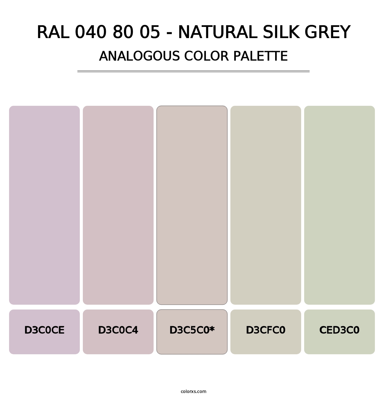 RAL 040 80 05 - Natural Silk Grey - Analogous Color Palette